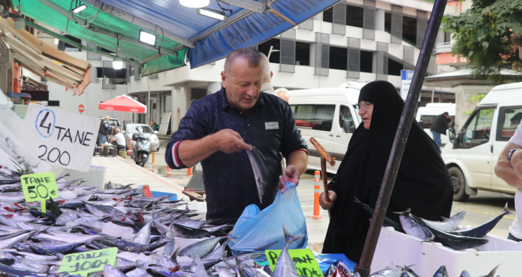 Rize'de palamut bolluğu balık tezgahlarındaki fiyatları 50 liraya kadar düşürdü