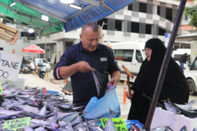 Rize'de palamut bolluğu balık tezgahlarındaki fiyatları 50 liraya kadar düşürdü