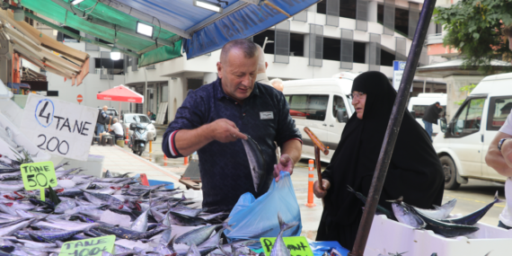 Rize’de palamut bolluğu balık tezgahlarındaki fiyatları 50 liraya kadar düşürdü