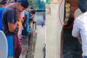 Hindistan'da bir evin tuvaletindeki klozetten dev kobra yılanı çıktı