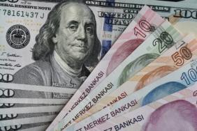 Dolar/TL haftanın ilk işlem gününde 49,18 seviyesini görerek rekor tazeledi