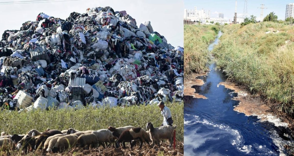 Türkiye'de İthal Plastik Atık Artışı ve Geri Dönüşüm Sektörü Çevre Risklerini Büyütüyor
