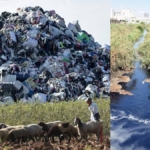 Türkiye'de İthal Plastik Atık Artışı ve Geri Dönüşüm Sektörü Çevre Risklerini Büyütüyor